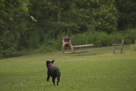 20250702_Dog park and Ken and Korinne house__DSC0039_.jpg