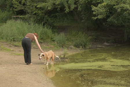20250702_Dog park and Ken and Korinne house__DSC0100_.jpg