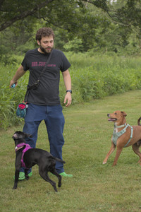 20250702_Dog park and Ken and Korinne house__DSC0111_.jpg