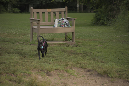 20250702_Dog park and Ken and Korinne house__DSC0125_.jpg