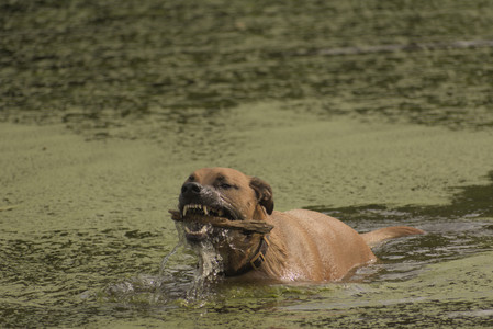 20250702_Dog park and Ken and Korinne house__DSC0150_.jpg