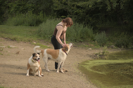 20250702_Dog park and Ken and Korinne house__DSC0164_.jpg