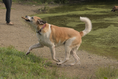 20250702_Dog park and Ken and Korinne house__DSC0169_.jpg