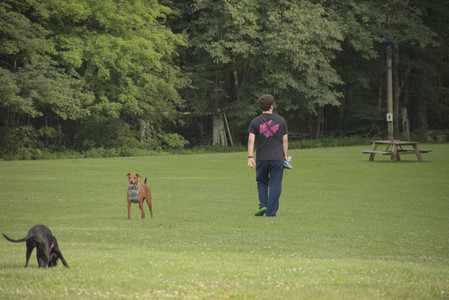 20250702_Dog park and Ken and Korinne house__DSC0190_.jpg