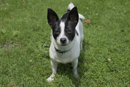 20250705_Dog Park__DSC0032_.jpg