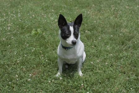 20250705_Dog Park__DSC0067_.jpg