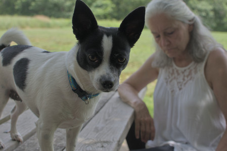 20250705_Dog Park__DSC0069_.jpg