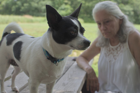 20250705_Dog Park__DSC0072_.jpg