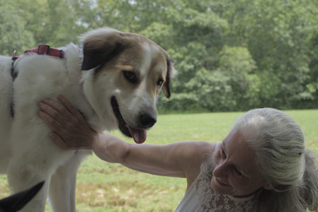 20250705_Dog Park__DSC0074_.jpg