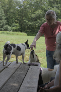 20250705_Dog Park__DSC0088_.jpg