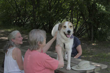 20250705_Dog Park__DSC0099_.jpg