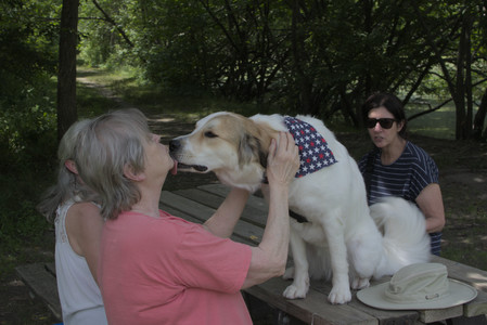 20250705_Dog Park__DSC0105_.jpg