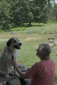 20250705_Dog Park__DSC0115_.jpg