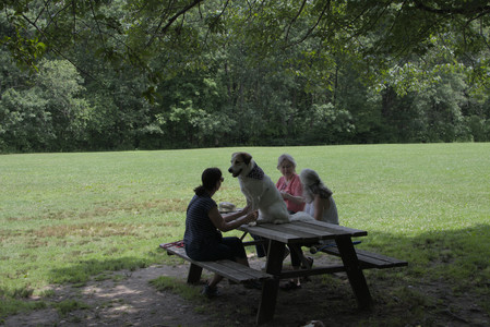 20250705_Dog Park__DSC0117_.jpg