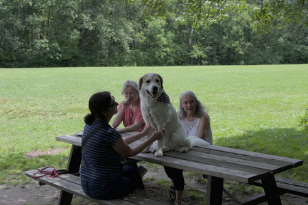 20250705_Dog Park__DSC0118_.jpg