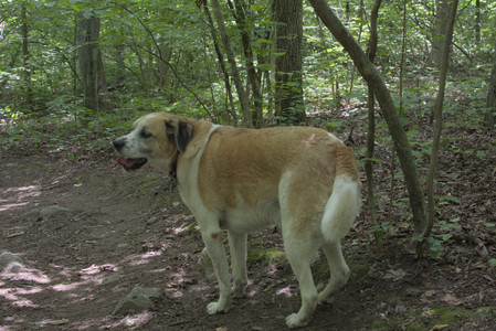 20250705_Dog Park__DSC0138_.jpg