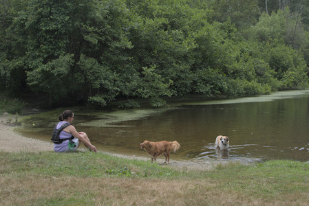 20250705_Dog Park__DSC0160_.jpg