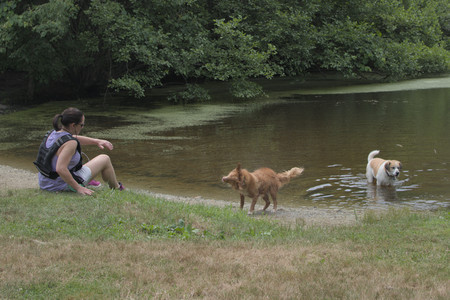 20250705_Dog Park__DSC0161_.jpg