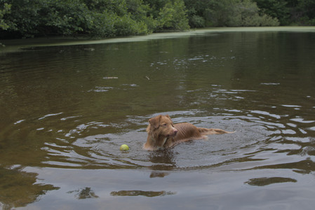 20250705_Dog Park__DSC0177_.jpg