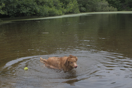 20250705_Dog Park__DSC0189_.jpg