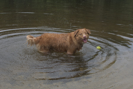 20250705_Dog Park__DSC0202_.jpg