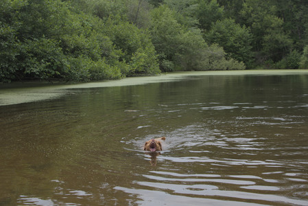 20250705_Dog Park__DSC0233_.jpg