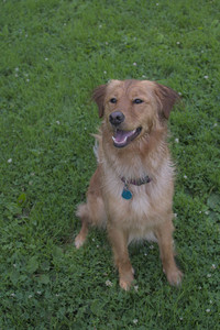 20250705_Dog park again__DSC0083_.jpg