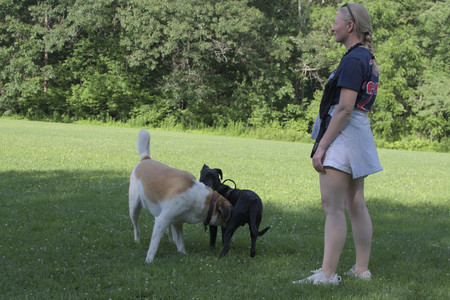 20250705_Dog park again__DSC0084_.jpg