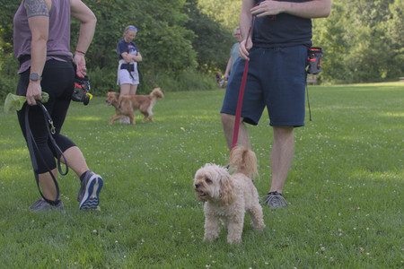 20250705_Dog park again__DSC0097_.jpg