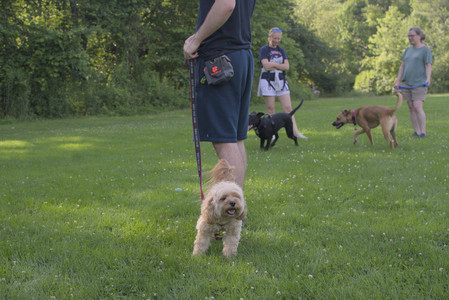 20250705_Dog park again__DSC0103_.jpg