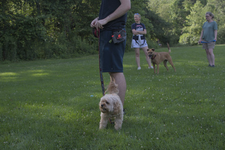 20250705_Dog park again__DSC0104_.jpg