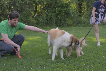 20250705_Dog park again__DSC0108_.jpg