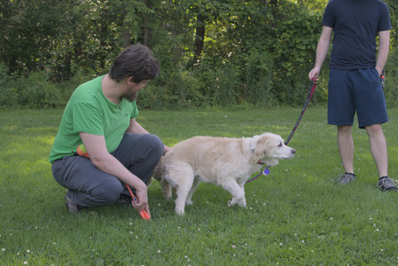 20250705_Dog park again__DSC0109_.jpg