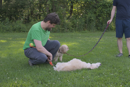 20250705_Dog park again__DSC0112_.jpg