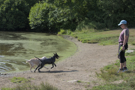 20250705_Dog park again__DSC0160_.jpg