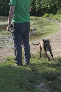 20250705_Dog park again__DSC0172_.jpg