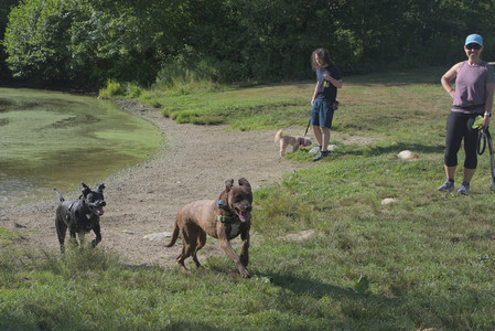 20250705_Dog park again__DSC0189_.jpg