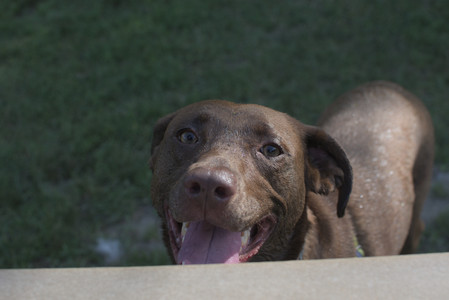 20250705_Dog park again__DSC0191_.jpg