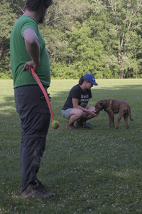 20250705_Dog park again__DSC0207_.jpg