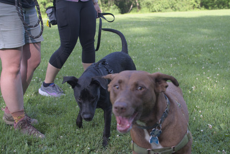 20250705_Dog park again__DSC0228_.jpg