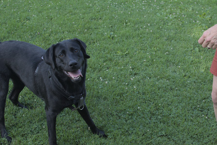 20250705_Dog park again__DSC0247_.jpg