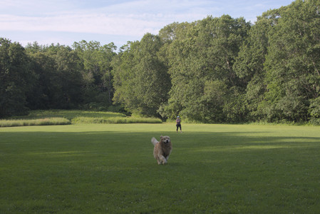 20250705_Dog park again__DSC0352_.jpg