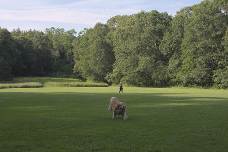 20250705_Dog park again__DSC0353_.jpg