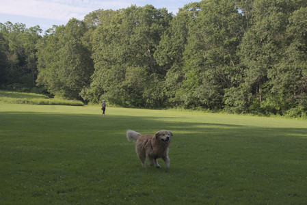 20250705_Dog park again__DSC0355_.jpg