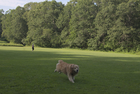 20250705_Dog park again__DSC0356_.jpg