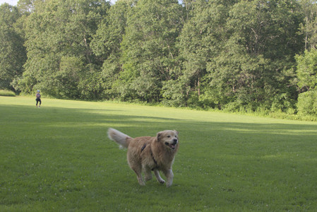 20250705_Dog park again__DSC0357_.jpg