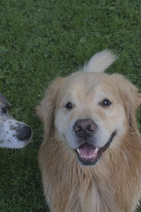 20250705_Dog park again__DSC0366_.jpg