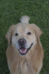 20250705_Dog park again__DSC0372_.jpg