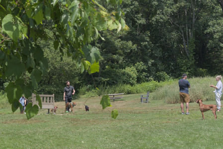 20250706_Dog Park__DSC0024_.jpg