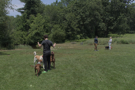20250706_Dog Park__DSC0027_.jpg